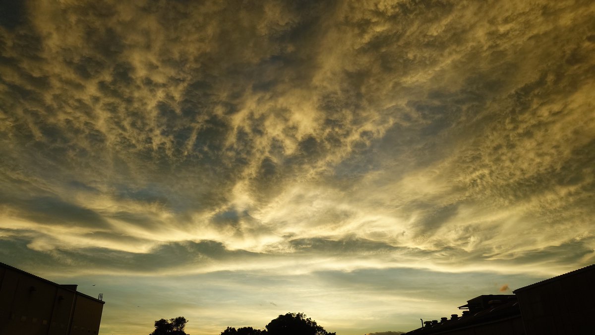 alvis_newplus's tweet photo. やっぱ変な雲 https://t.co/peK4NWa4sW