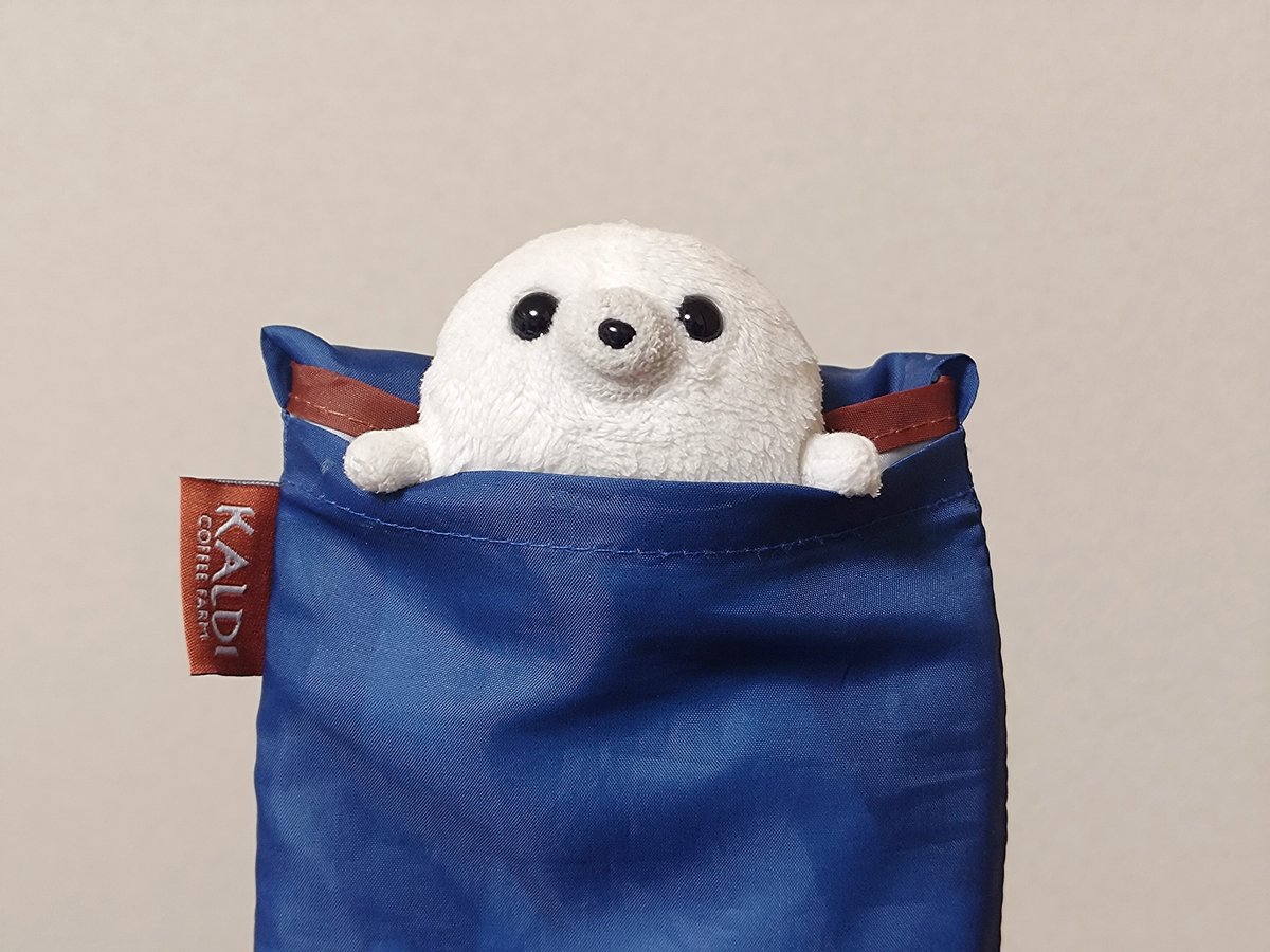 gomanosuke613's tweet photo. おかいもの つきそい🧺 https://t.co/ssTHQequTQ