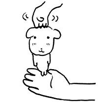 uli1043861's tweet photo. @cczisce https://t.co/5Falin8L9l
