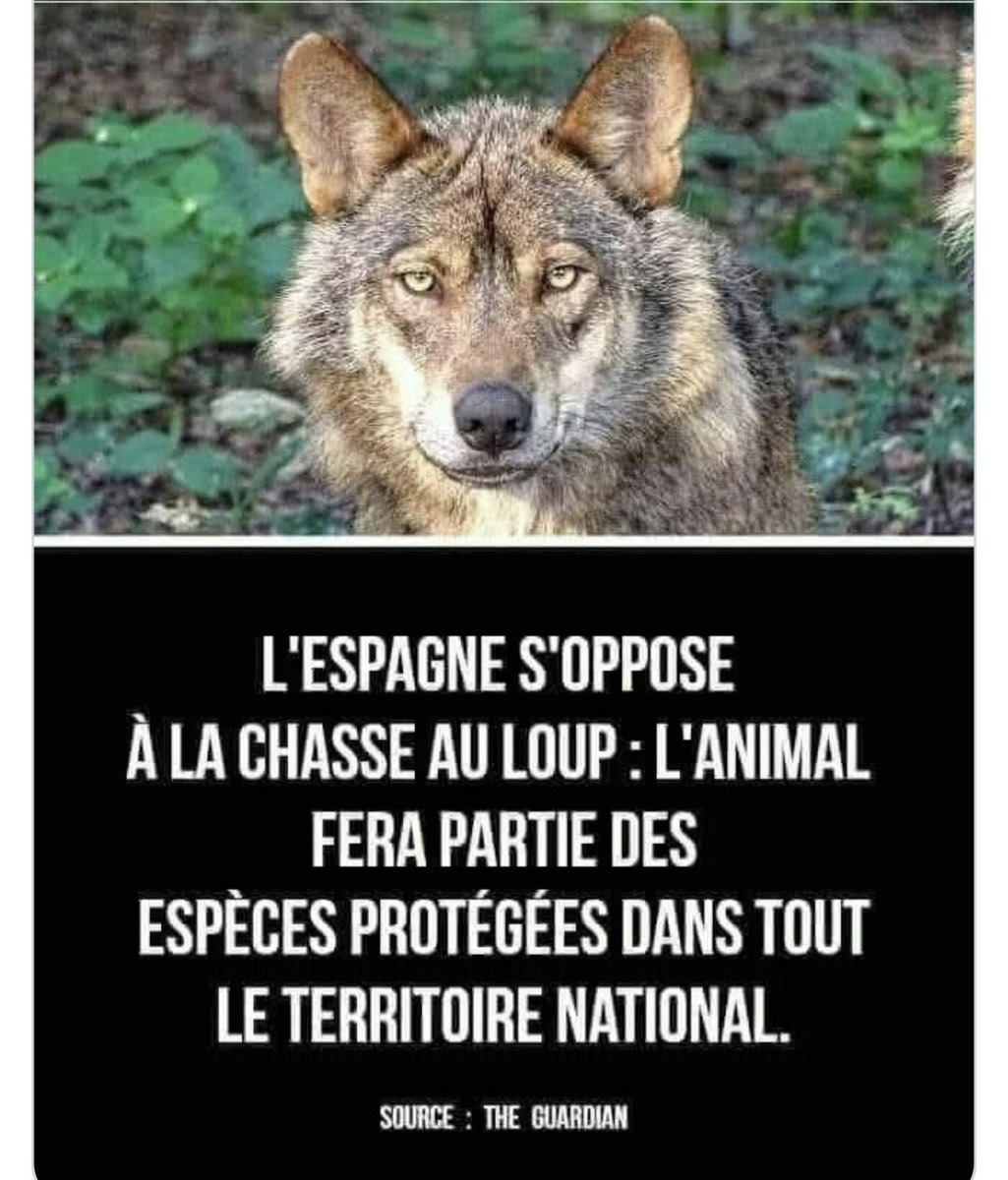 Pbe95's tweet photo. Et la France ?....
toujours à la ramasse. https://t.co/sEoE66SKsx