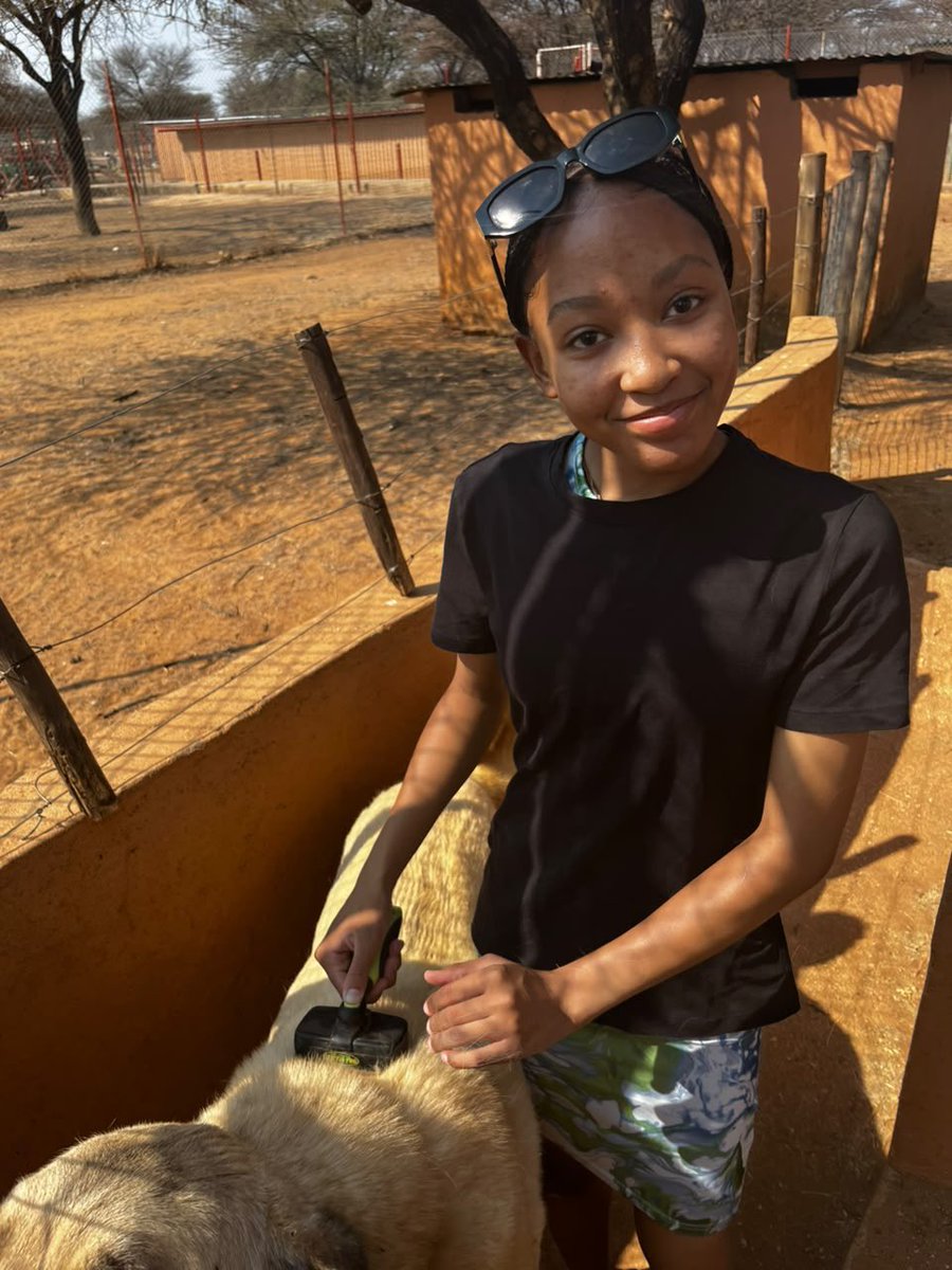 CCFCheetahUK's tweet photo. POV: you finally get to meet our livestock guardian dogs! CCF welcomed 24 learners and 3 teachers from Otjiwarongo Secondary School for a day of conservation education and hands-on activities at our Model Farm.

A great opportunity to learn about protecting wildlife 🐾💛! https://t.co/9W7l7Z7NdT