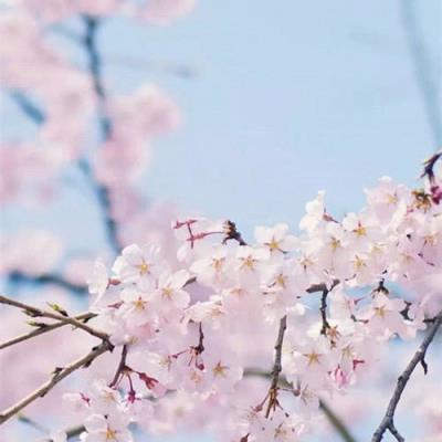 Bird96509148's tweet photo. 🪐 🚩 🍀 🔥 👑 🌻 Ugh, Mondays are a whole mood https://t.co/nlECuLPN5K