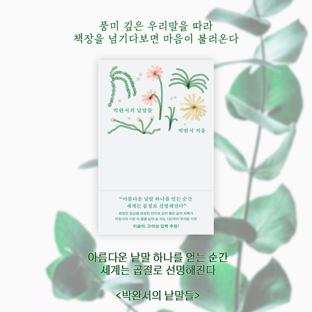 SOFT_GREEN_0's tweet photo. #책갈피루 #웅진지식하우스
#박완서 #박완서의낱말들
#서평제안 #도서제공 #독후감

박완서 작가님의 문체를 사랑하는 내게,
정말로 좋은 기회로 이 책 한 권이 찾아왔다.
작가님의 작품들에서 찾아낸, 보석처럼 세공된 단어들로
목걸이를 만든다면 아마도 이 단어집 같을 것이다.

120개의 다양하고 재미있는 표현들이
잘 차려진 밥상처럼 느껴졌는데,
그래서 그런지 다 읽어갈때 쯤에는
마음이 두둑하게 불러오는 경험을 했다.
글 쓰기를 좋아하거나,
여러가지 어휘를 공부하고 싶은 분들께
박완서의 낱말들을 추천하고 싶고,

박완서 작가님의 책을 읽으실때도
문장을 이해하는데 큰 도움이 되지 않을까 생각한다.
현대 문학을 어렵게 느꼈던 분들도
이 책을 통해 읽는 세계가 더 넓어진다면 정말 좋겠다.

<마음에 들었던 낱말>
-요요하다: 생기가 있고 얼굴빛이 환하다
-사근사근: 매우 보드랍고 연하게.
-걸음나비: 보폭