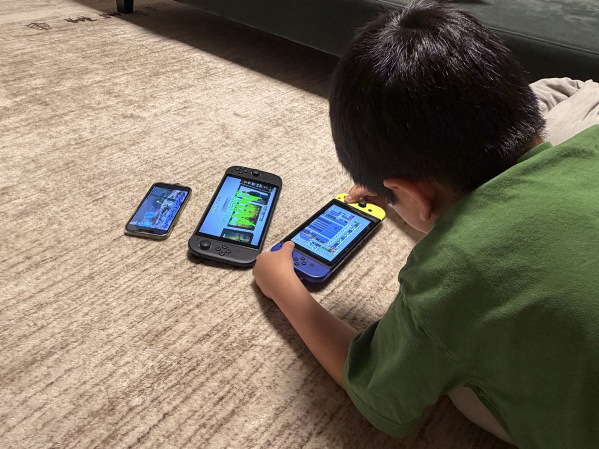 chomotan_spla's tweet photo. 小学生の息子氏
ゼルダの実況動画見ながら
カメレオンで隠れんぼして、
待ち時間中にマリオ遊んでる…

これがドパガキってやつか( ´_ゝ`) https://t.co/0FwkGj7FPb