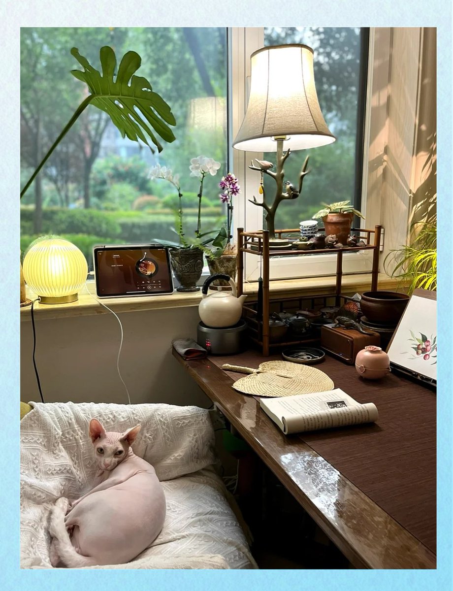 danaraja3's tweet photo. Waking up to sunlight filtering through the curtains, my cat curled on the work desk and a half-empty mug of warm tea by the window—small, perfect lazy Sunday at home.， https://t.co/1mOdp00lKQ