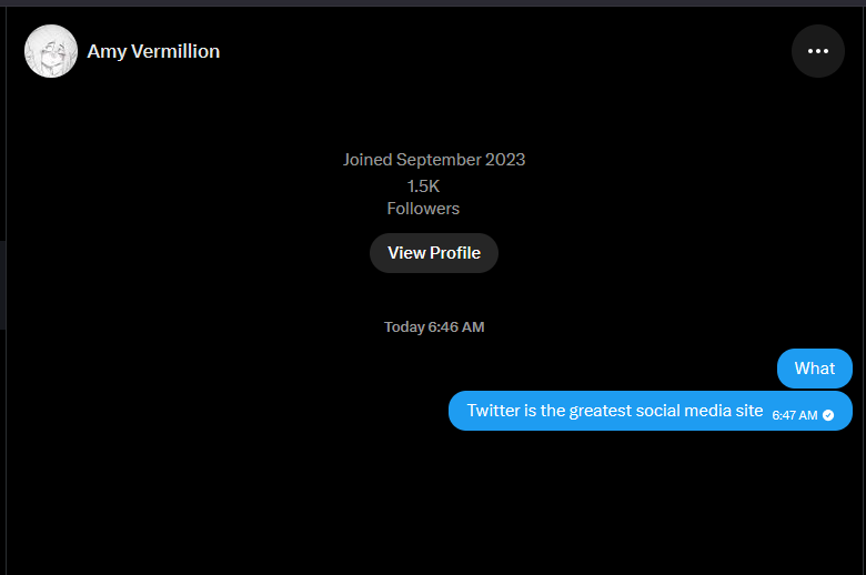 OmotamiaDev's tweet photo. why can you DM yourself I saw this on my timeline and thought it was fake but twitter is such a busted broken shitass website that you can literally message yourself now https://t.co/wL39sKoCX4