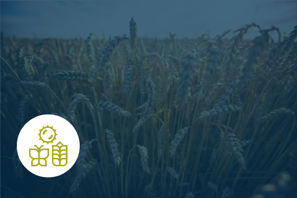 ELIXIREurope's tweet photo. 🌾 The HARVEST project, funded by ELIXIR, has made it easier to package, validate and reuse #plantresearch datasets. #FAIRification
Read the news: https://t.co/BMh7U8Mkba https://t.co/G96UzQxPT0