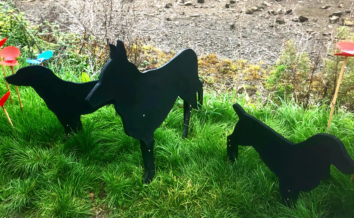 RibbonofPoppies's tweet photo. Meet Willow, Apollo and Morgan our three latest additions to the Hayle 9/11 Ribbon of Poppies display.

Each of these dogs represent 100 more search dogs called on to search for survivors after the attacks.

Find out more on our Facebook page.

@BBCCornwall @HayleCouncil https://t.co/gsO0ICL9SZ