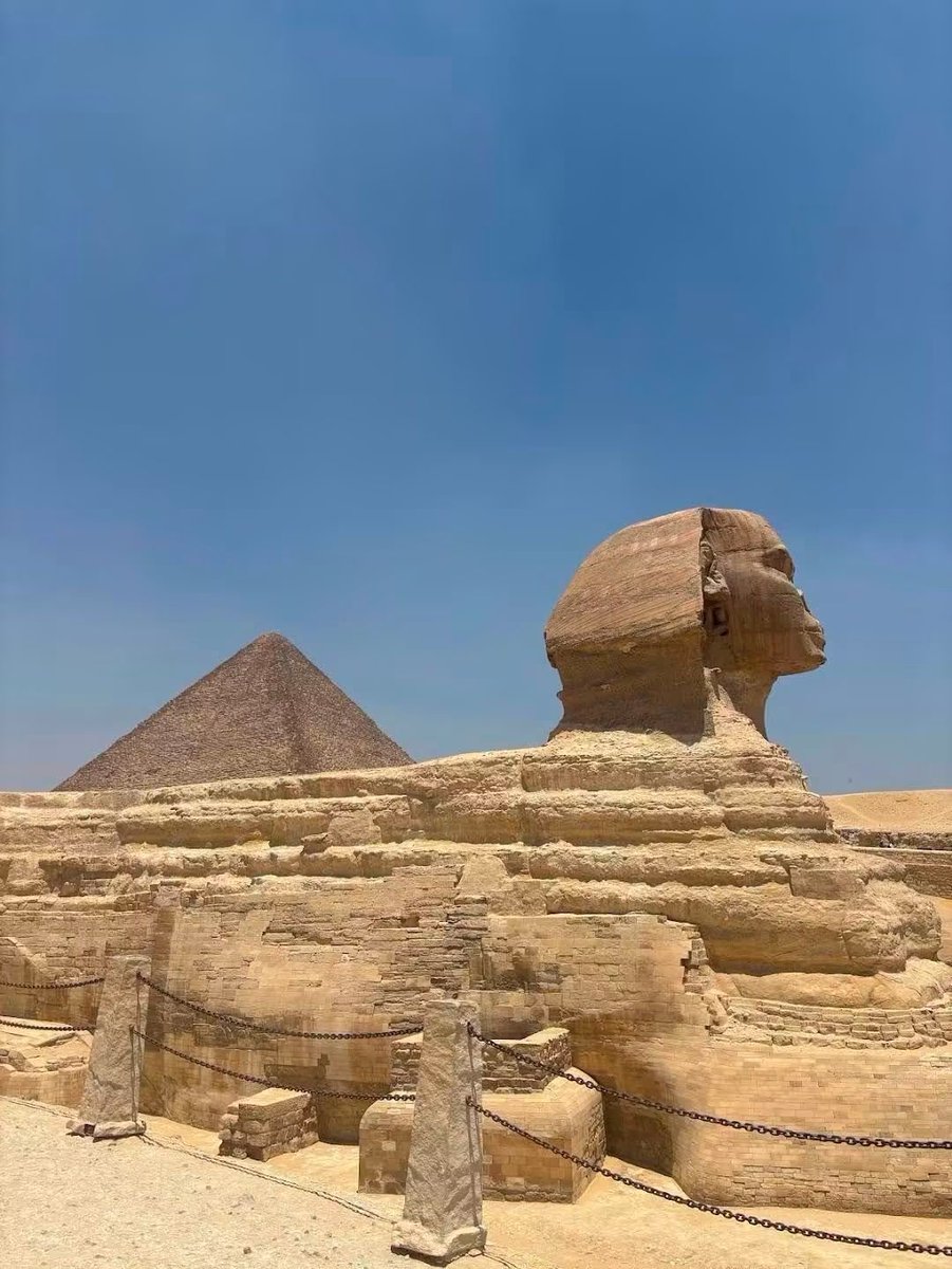 mshaban375's tweet photo. Sphinx https://t.co/xs6j0IaoHd