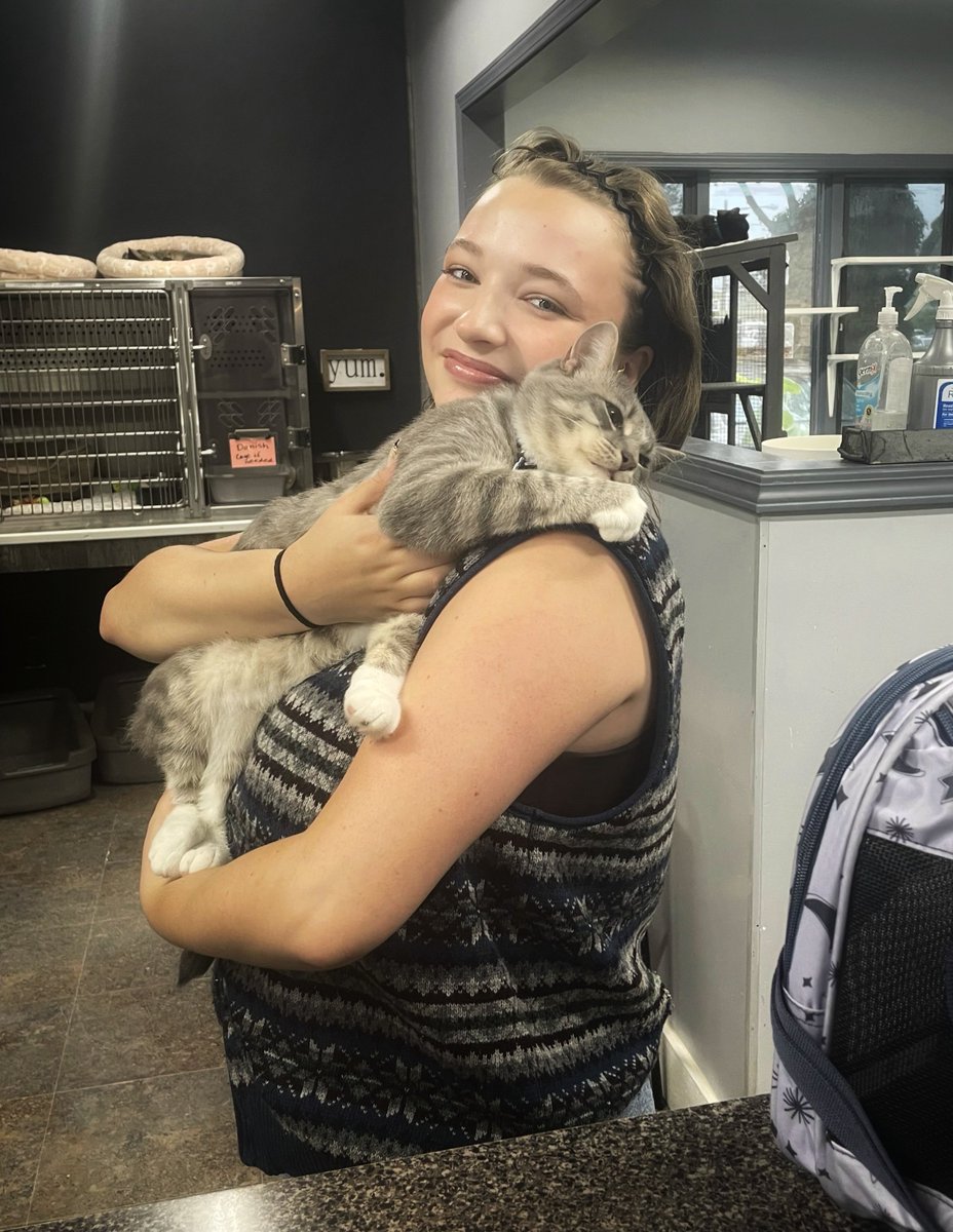 CrashsLanding's tweet photo. Renzo found his forever home! 🎉 This sweet picture says it all. He’s completely content in the arms of his new person. We’re going to miss this special boy, but our hearts are full knowing he’s right where he belongs. 💕 Happy tails, Renzo! https://t.co/X015T8A0Q3