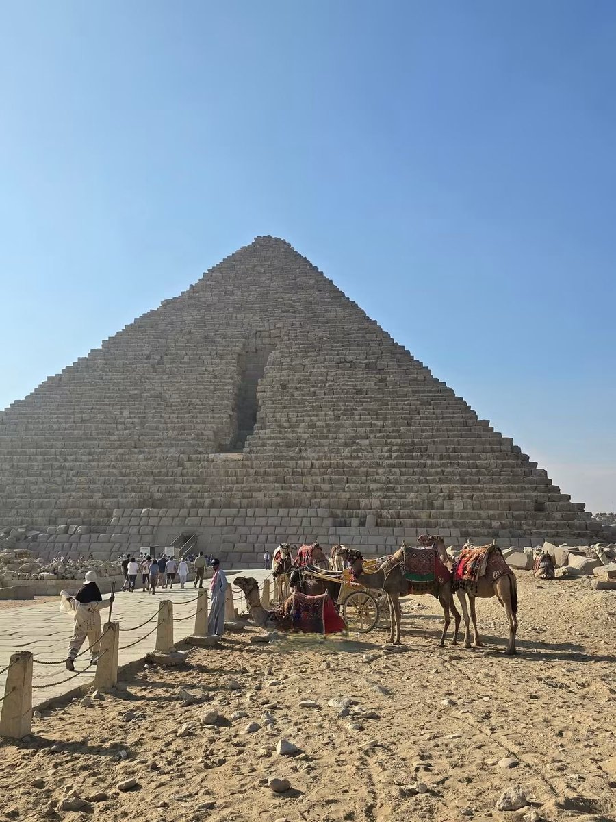 mshaban375's tweet photo. Good morning from Egypt 🇪🇬 https://t.co/kJh0UvHhXF