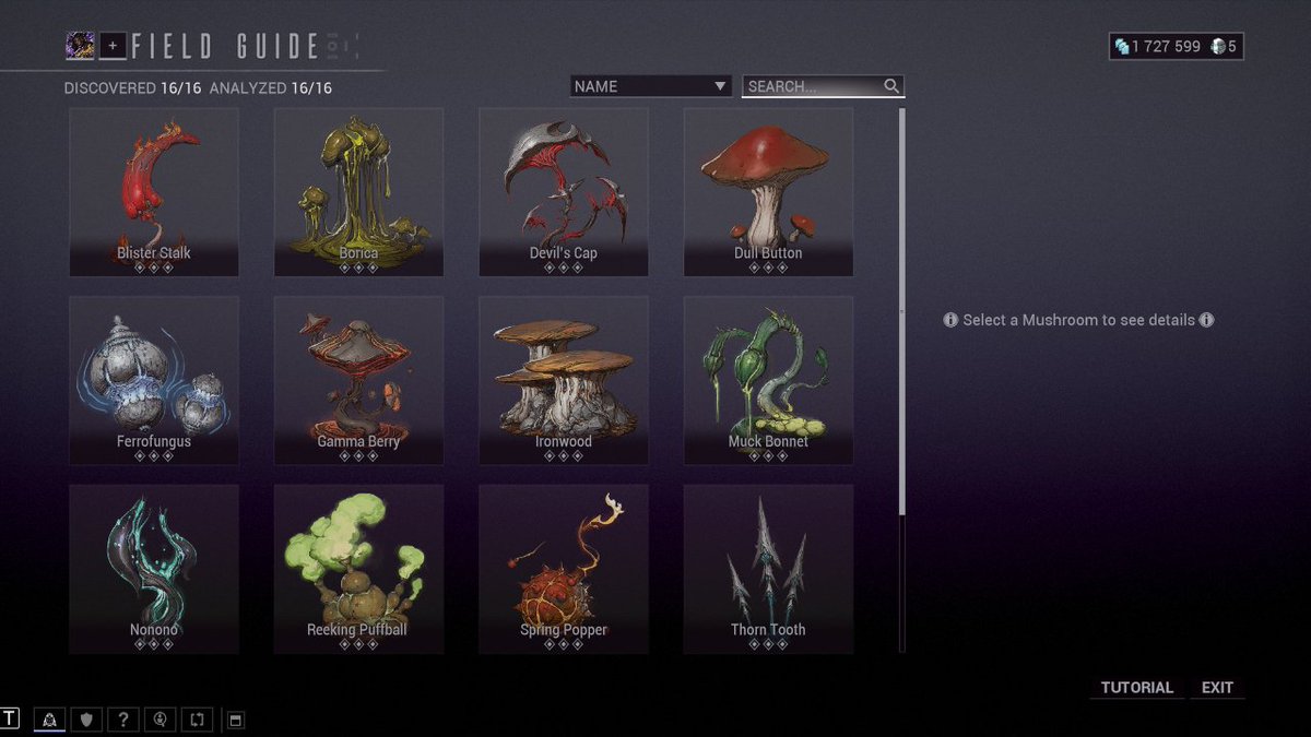 RinRige's tweet photo. Ahh, mushroom season is over. Nokko's home. Time to farm capturas at Nightcap https://t.co/vVinYPy3BL