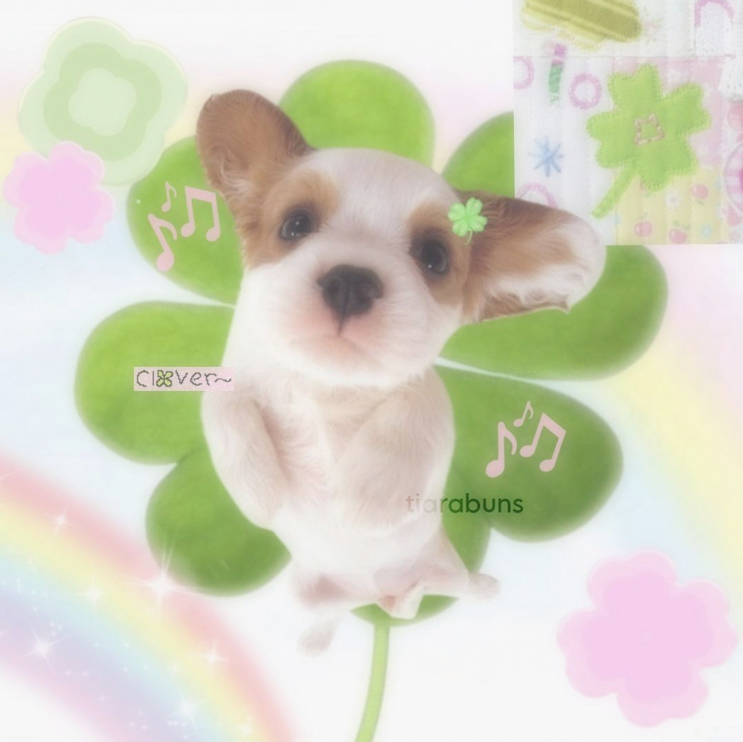 UnitedFreaks's tweet photo. ベビが💩したと泣くからおむつ替えてたら次々出てくるから暫く待ってたらゆるーいのが発射されて布団カバーや服がえらい事にw
うわー！やったでー！うはははっ！出ないより良いわ！って笑いながら処理してた🤣2日出てなかったからね！ https://t.co/vcK5aTnuWc