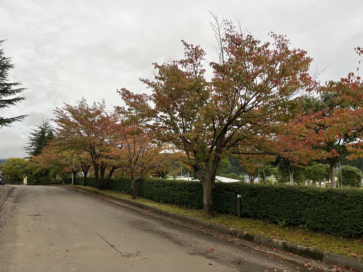 bigair04's tweet photo. 秋田まで無事やって来ました。
秋田県で車中泊
秋田は紅葉が始まりつつあるかもです https://t.co/6IkvSp2LwD