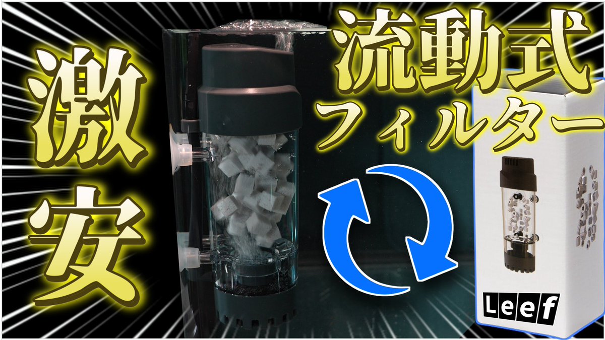 WENT_JP's tweet photo. YouTube更新しました📈
是非連休の暇つぶしに見てやってください！
【Leef 流動式ろ過フィルターをディスカス水槽に設置！濾過能力を強化する！】
▶︎https://t.co/usXrLfdrNq
#ディスカス #熱帯魚 #アクアリウム #水槽 #ろ過フィルター https://t.co/qO9BD7WPgb