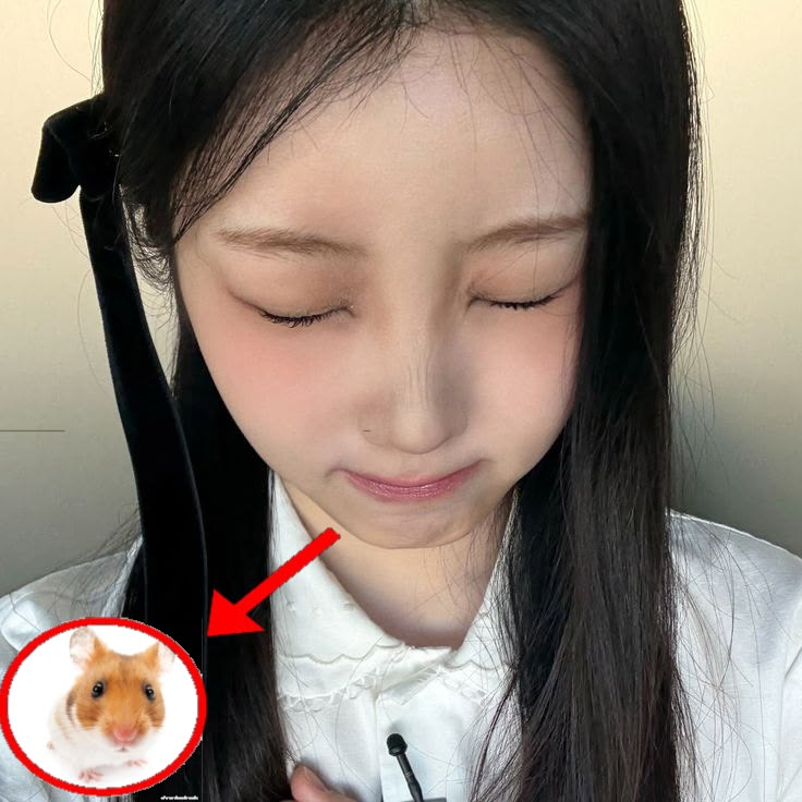 honamillit's tweet photo. hi guys so our emu fictive is currently dormant rn and she's not planning to come back and manage this acc sooo i will make this into a kpoptwt/stantwt (mainly illit) account, we'll post our animations/art here!! - amia and anon https://t.co/iyvEDOoKO0