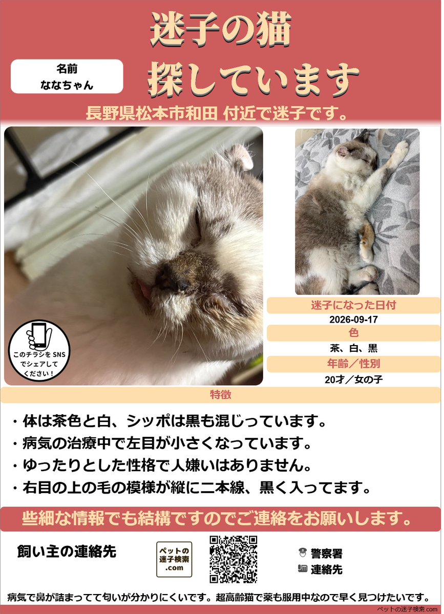 迷子猫】長野県で愛猫が行方不明