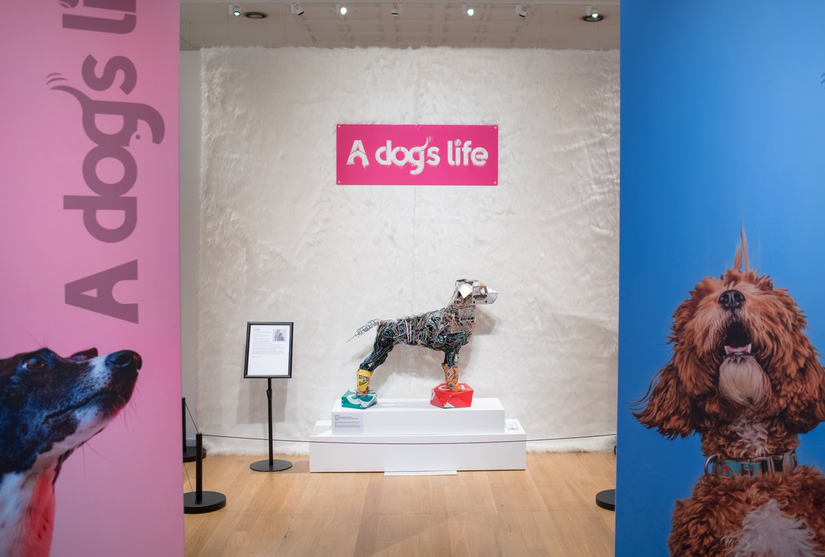 leicestermuseum's tweet photo. It's 'A Dogs Life'!
Our new exhibition showcases work by international artists, designers, illustrators, and photographers who use dogs as muse and subject.
#ADogsLife is a @2021VisualArts touring exhibition, open until 15 Nov at #LeicesterMuseum
https://t.co/b4BeEcqVTD https://t.co/zDcSyQJMWz