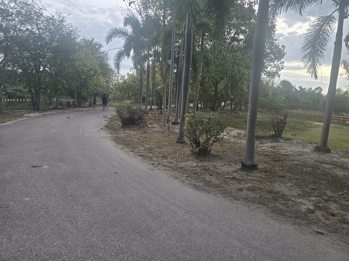 Panng6b3a's tweet photo. บรรยากาศดีมาก สายล่างระยอง
#ระยอง https://t.co/3nXK2G3Q3K