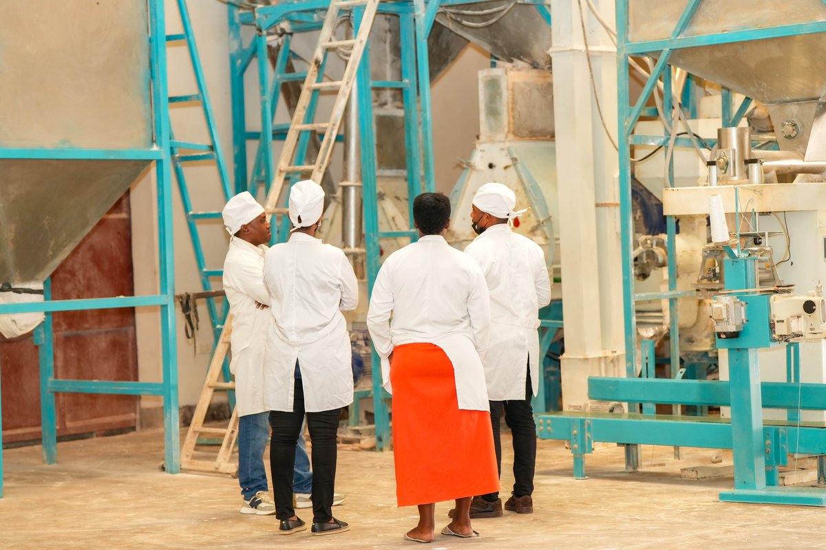 Aflakiosk_Ltd's tweet photo. Millions of school children will soon eat fortified whole grain products through the FWG school feeding programme. Last week we were in the field with FWG to assess a potential new milling partner — checking capacity, credentials and the safety of the grain itself. https://t.co/5vxtpMf19p