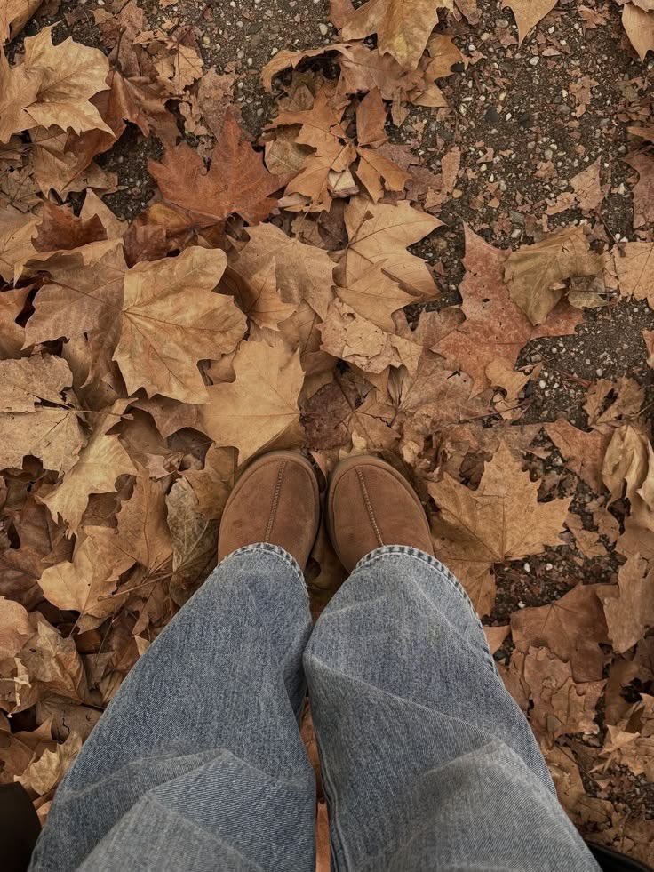 lassybees's tweet photo. happy start of fall 🍁🧡 https://t.co/TQn99mMcff