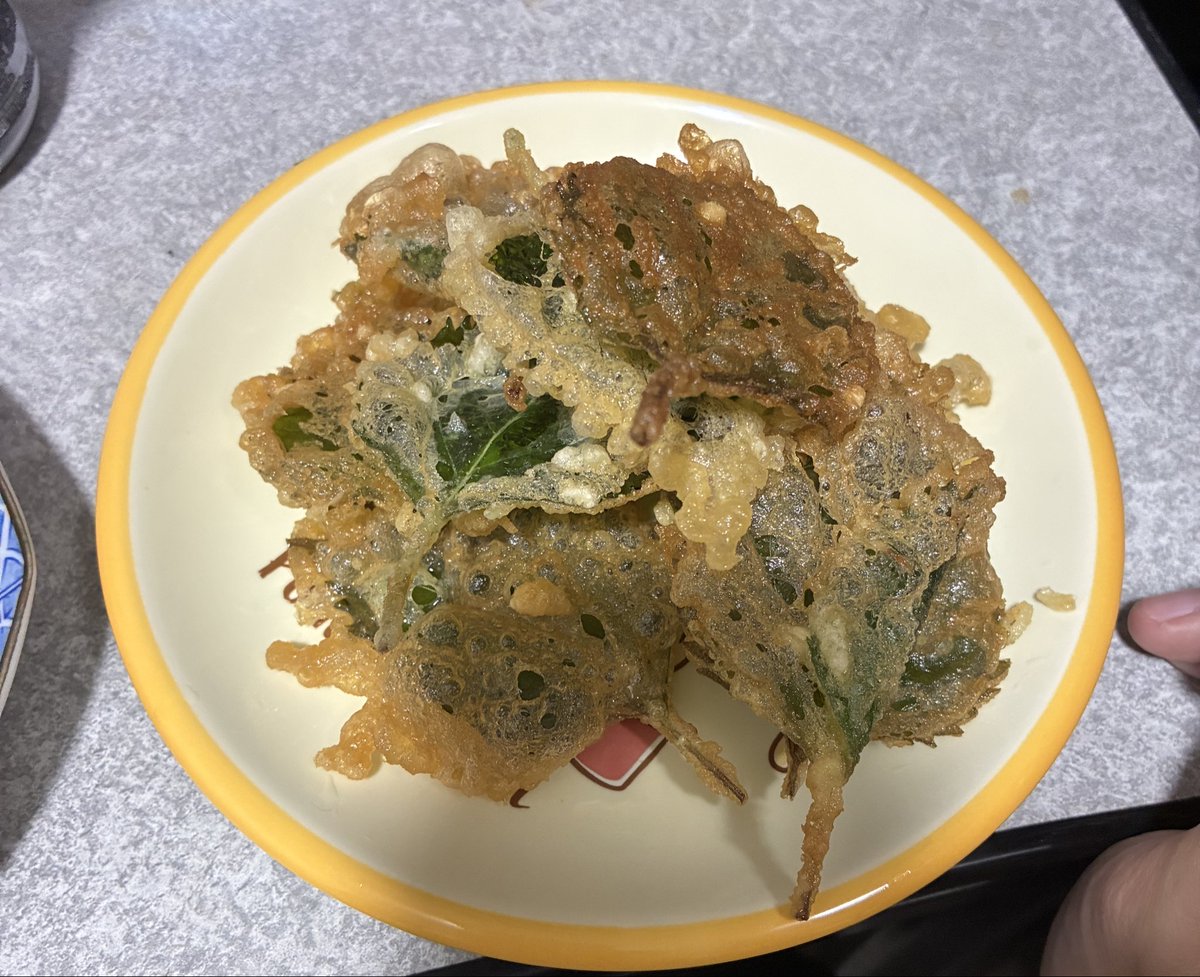 papipupeppepu's tweet photo. 初めててんぷら揚げたけどおいしかった♪
大葉だけしか買わなかったけど一番好きだから良いもんね！お酒飲みゃ良かったな… https://t.co/ZLRfB3sjQy