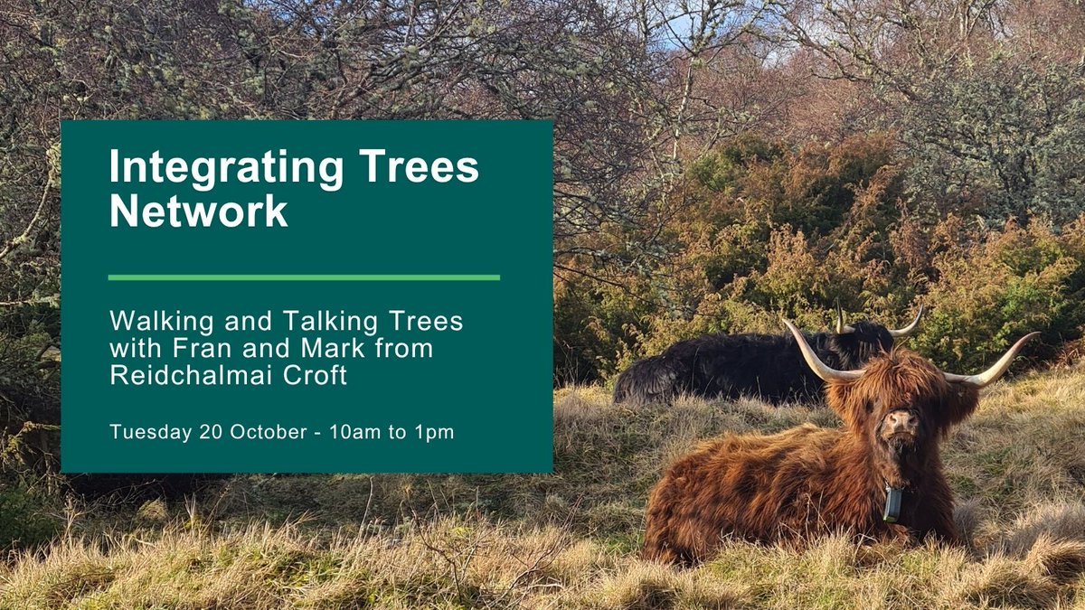 scotforestry's tweet photo. Event | Walking and Talking Trees 🌳

📍Reidchalmai Croft, Rogart - Tuesday 20 October 

Discover how Fran Lockhart and Mark Foxwell are using woodland grazing and woodland creation to support a resilient crofting business.

Book your free place: https://t.co/EyYye8jPiu https://t.co/lINYfyrSm8