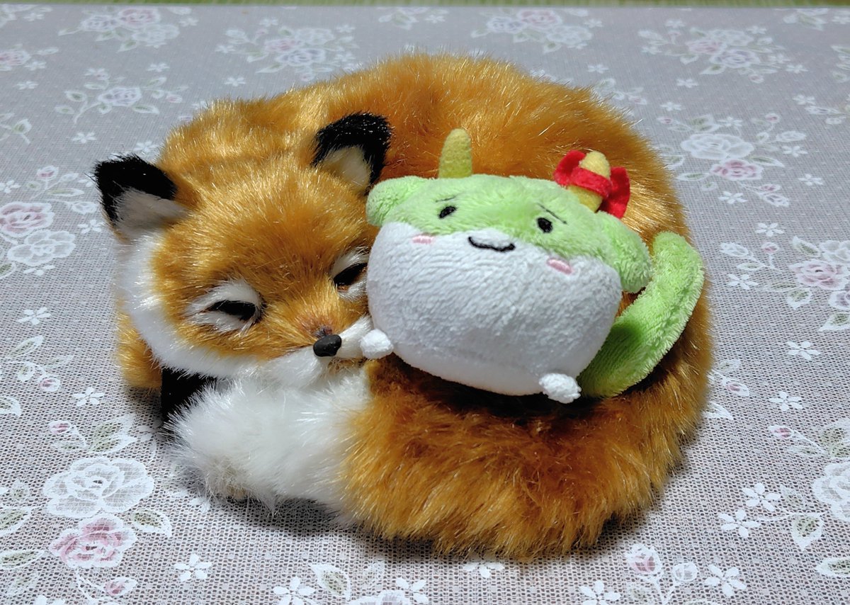 benzsoarer's tweet photo. キツネにからまれるスクスク https://t.co/btsXfquTG8
