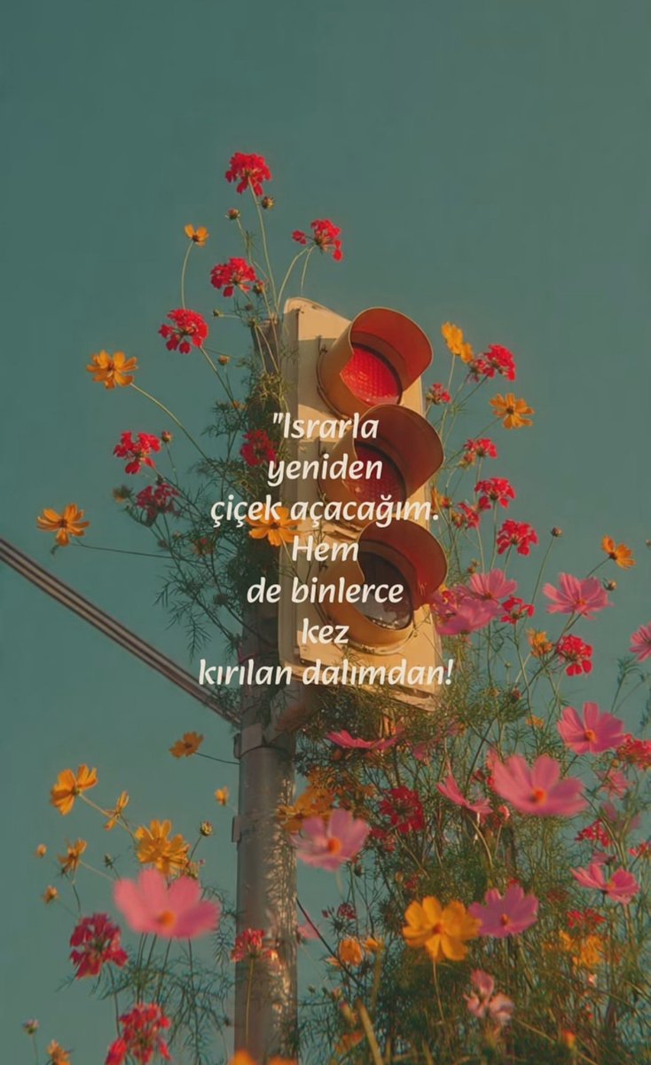 _bitmisizbe tweet picture