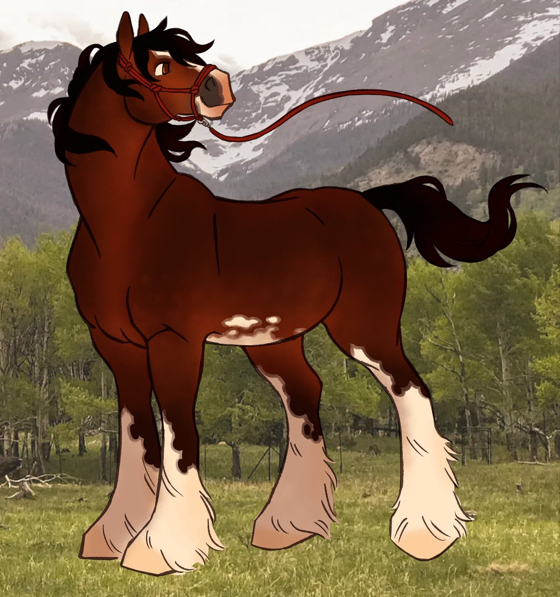 iloveehorses's tweet photo. I ❤️ shires https://t.co/pORdQrHGty