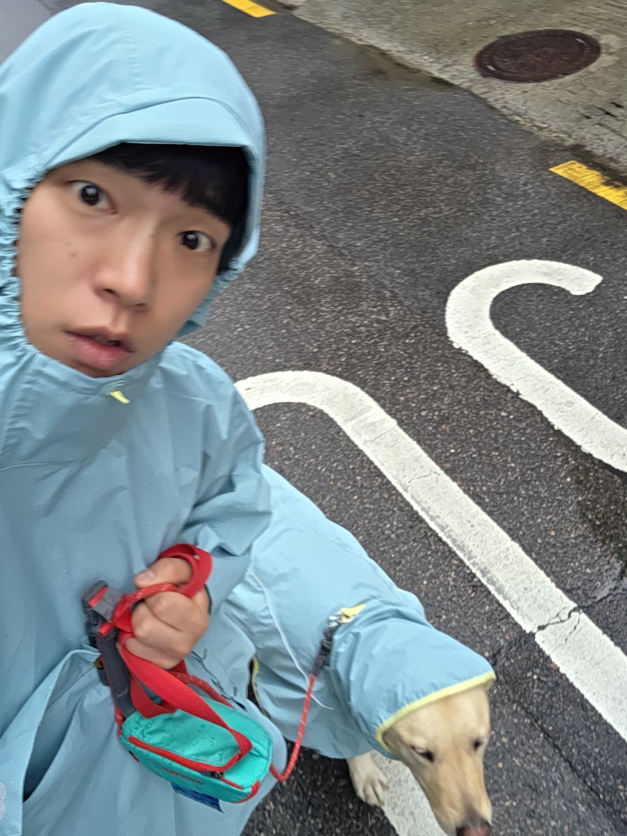 jisususu1's tweet photo. 요것 https://t.co/ebIit7gEFn