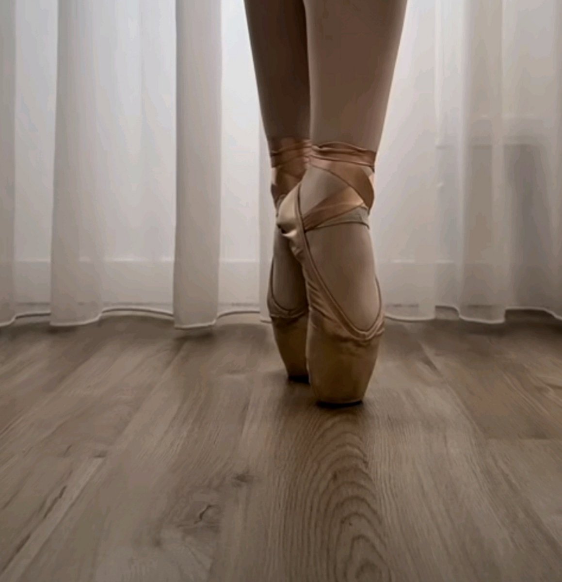 roselunastar's tweet photo. throwback to the last time I was on pointe😭 how many years has it been again? 2 ? 3 i think  
(this picture quality is so bad 😭 why did me in 2022 think this filter was cool ) https://t.co/OSW1RnBL9a