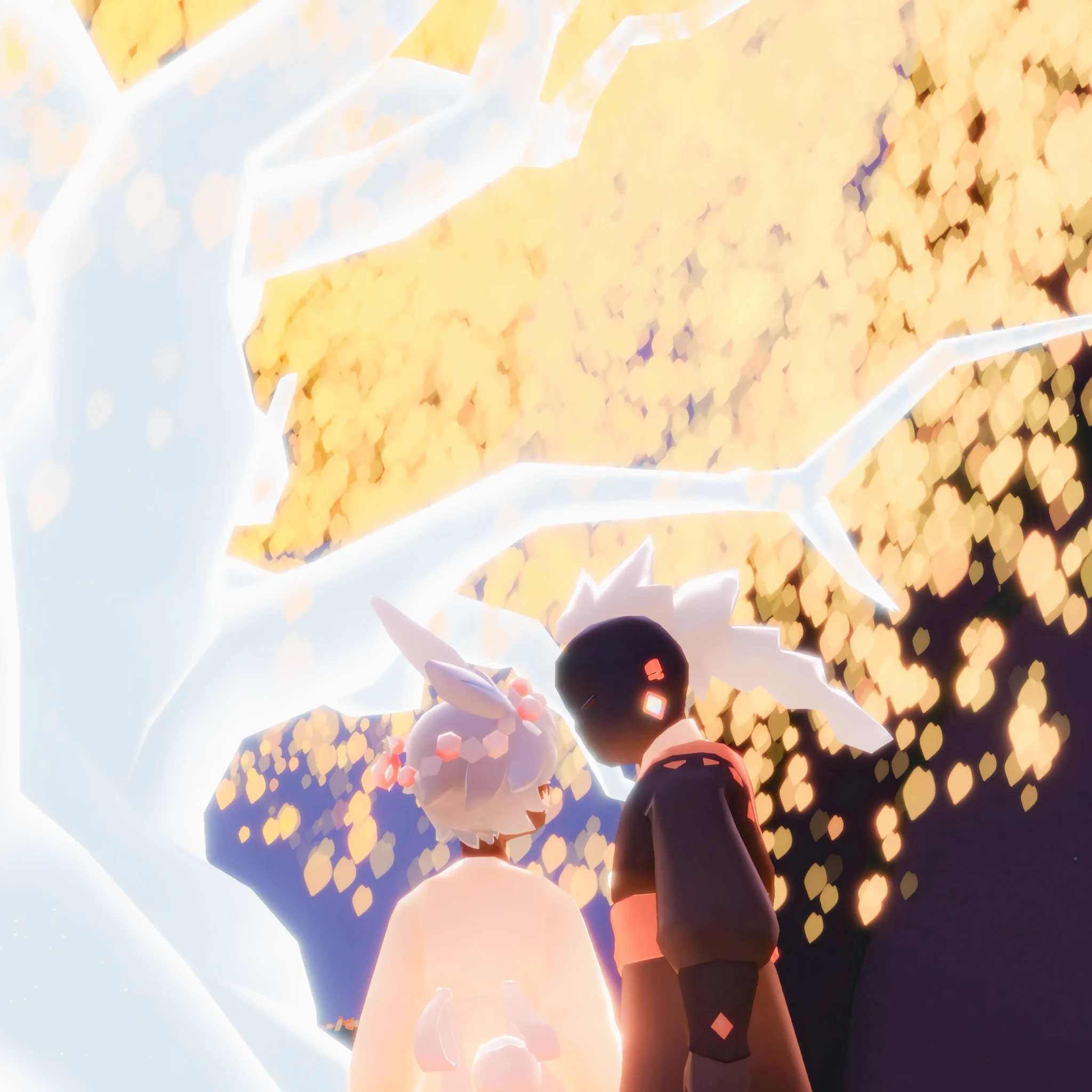もち🍯 on X: 
