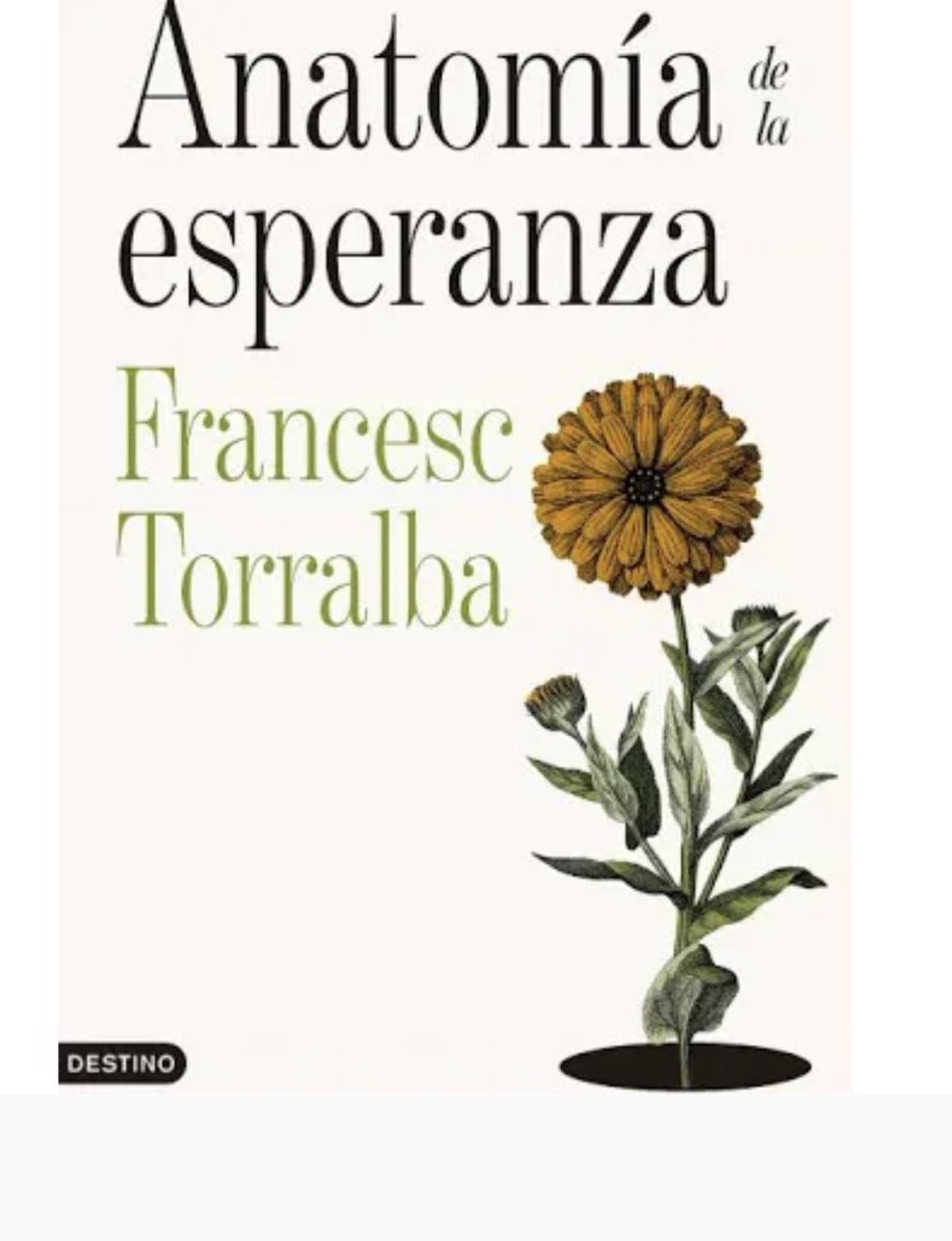socrastico's tweet photo. https://t.co/675L4h8WPj