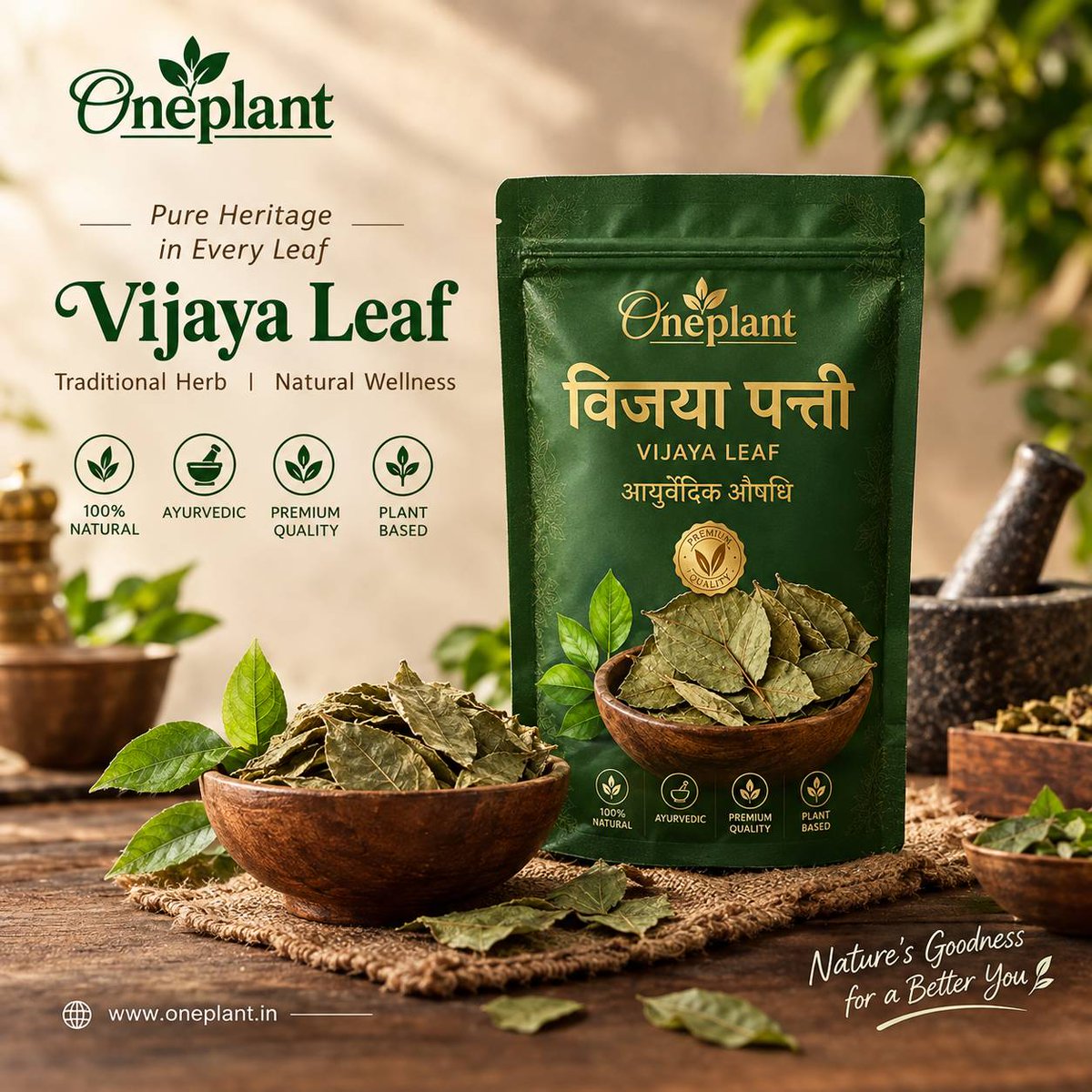 oneplantin's tweet photo. ๐ฟ Discover the traditional essence of Vijaya Leaf by OnePlant! ๐Nature-inspired. Tradition-rooted. ๐๐ Explore: https://t.co/c3iAoUWFfQ
โ๏ธ Use responsibly & follow local laws.
#VijayaLeaf #OnePlant #HerbalWellness https://t.co/TLK12vp6DO