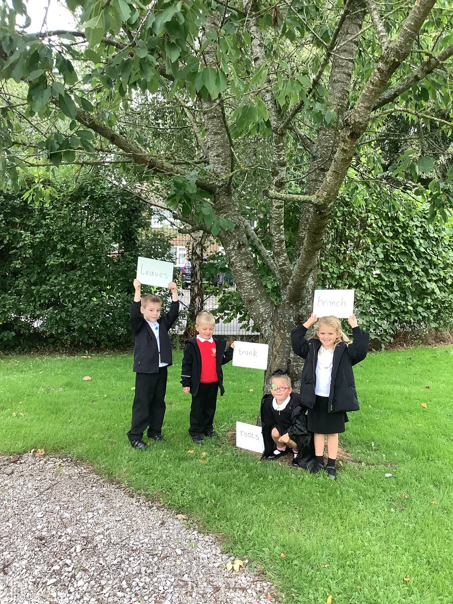 Y1HAS's tweet photo. Year 1 had fun finding different types of trees in our orchard. We even found the different parts of a tree! 🌳🌲#transformationcurriculum #observers https://t.co/H3jsQbUt0X