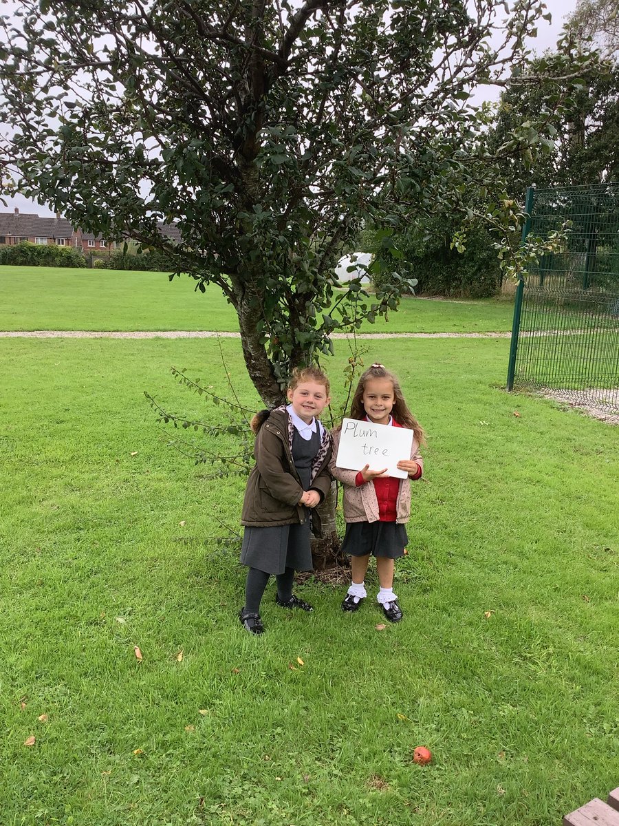 Y1HAS's tweet photo. Year 1 had fun finding different types of trees in our orchard. We even found the different parts of a tree! 🌳🌲#transformationcurriculum #observers https://t.co/H3jsQbUt0X