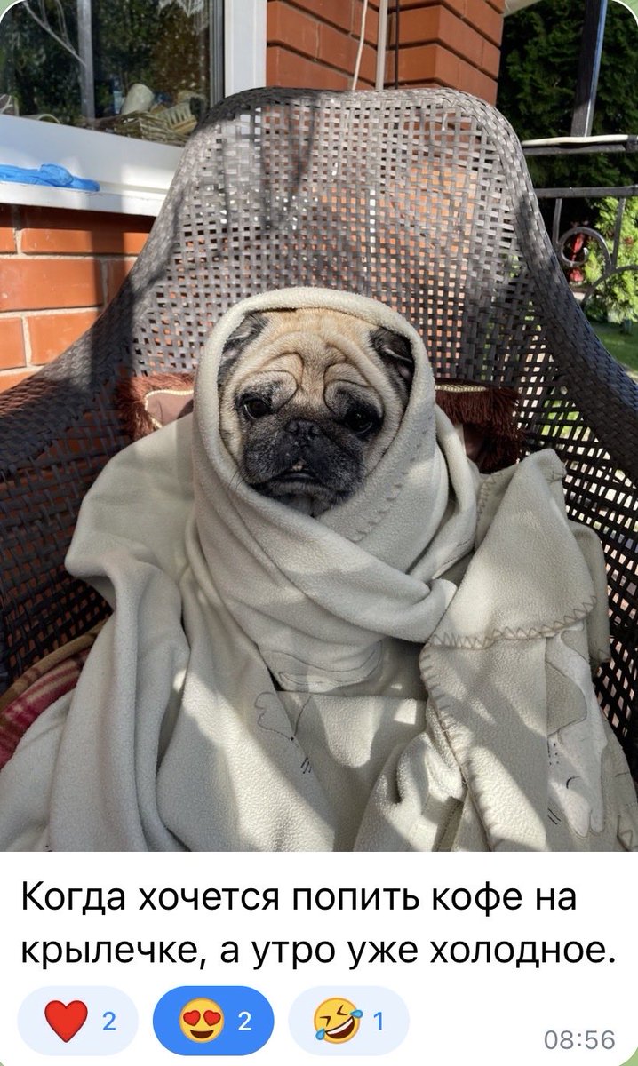 BabyGirldush's tweet photo. When you want to drink coffee on the porch, and it's already cold in the morning https://t.co/fYaCYrXaKf