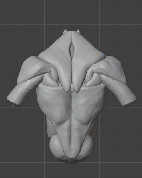 evazs42's tweet photo. Learning how to sculpt the Torso #Blender3D #Blender #BlenderArt #3DArt #3DArtist #3DModeling #Art #3dsculpt #character https://t.co/zeGzmcpe9M