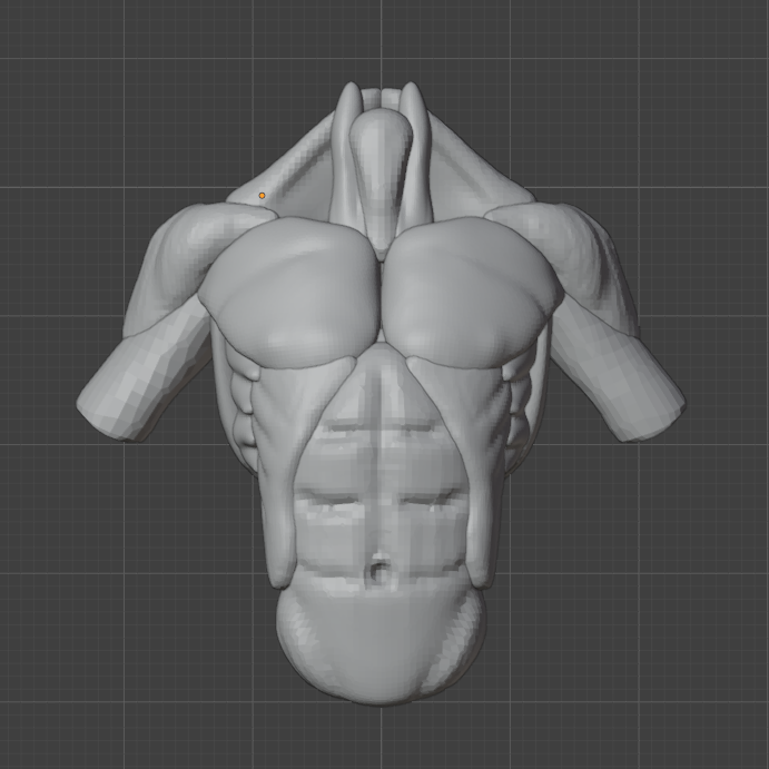 evazs42's tweet photo. Learning how to sculpt the Torso #Blender3D #Blender #BlenderArt #3DArt #3DArtist #3DModeling #Art #3dsculpt #character https://t.co/zeGzmcpe9M