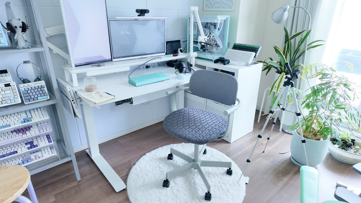binbiso's tweet photo. ⋆✧
     /ᐠ 、
ミ(˚. 。*フ
　|    ˜〵
　しし._)ノ　#desksetup #deskchair https://t.co/7La47GoRLk