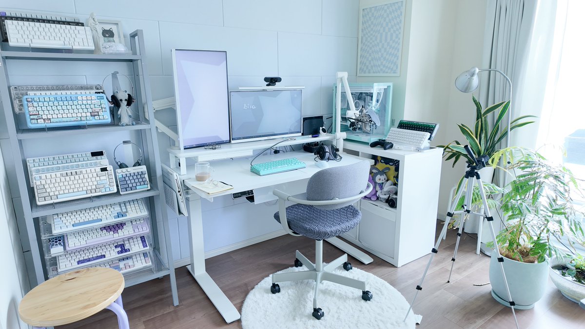 binbiso's tweet photo. ⋆✧
     /ᐠ 、
ミ(˚. 。*フ
　|    ˜〵
　しし._)ノ　#desksetup #deskchair https://t.co/7La47GoRLk