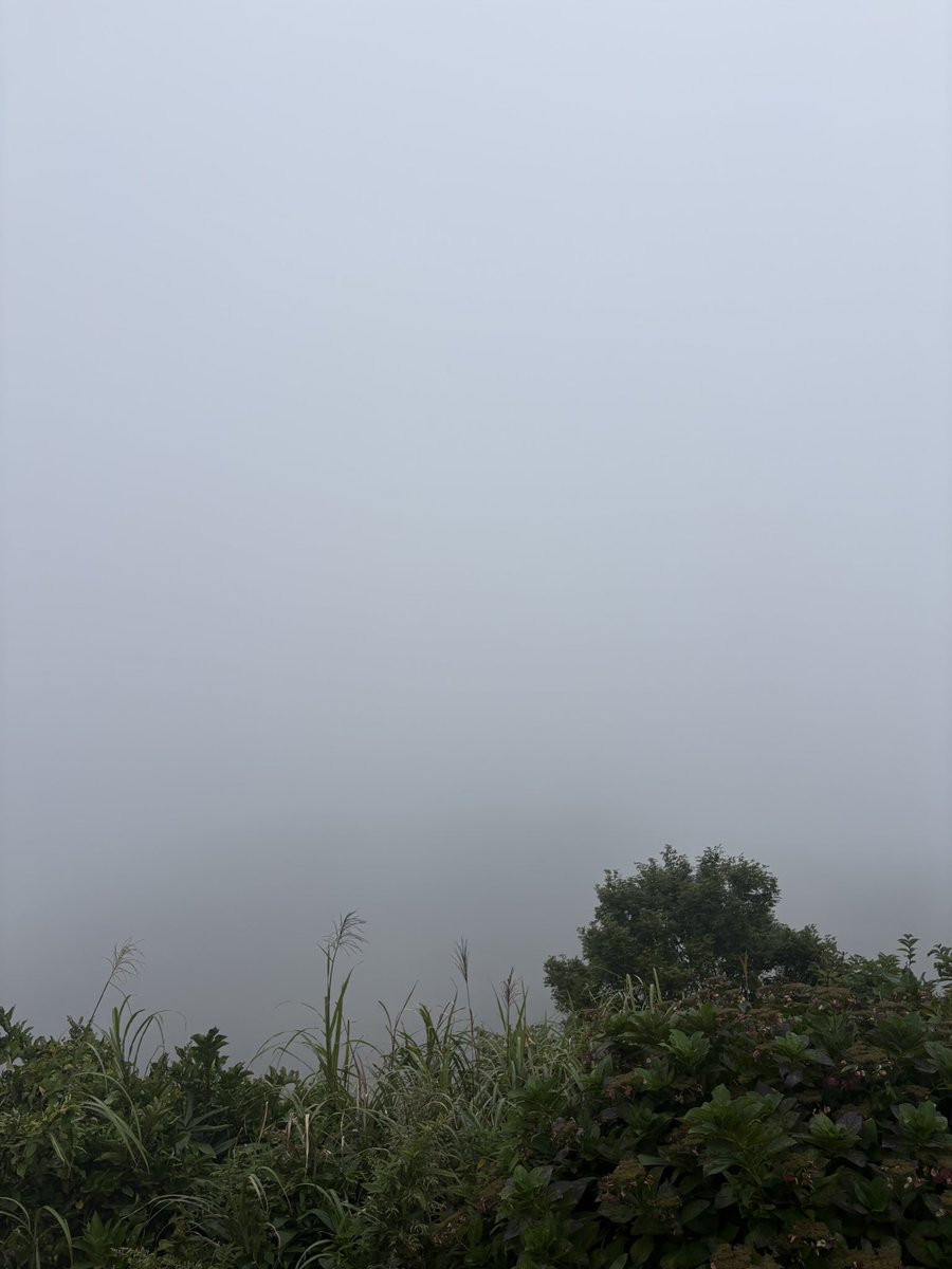 take_2001F's tweet photo. 弥彦山行ってきたんだが何も見えませんでした
雲の中にいたわ https://t.co/9wYIQP2uE2