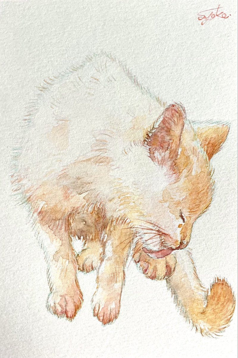 shokorian0122's tweet photo. #全クリエイターに告ぐ猫の作品を解放せよ 
水彩でスケッチしました🐈 https://t.co/hlSxPsA13g