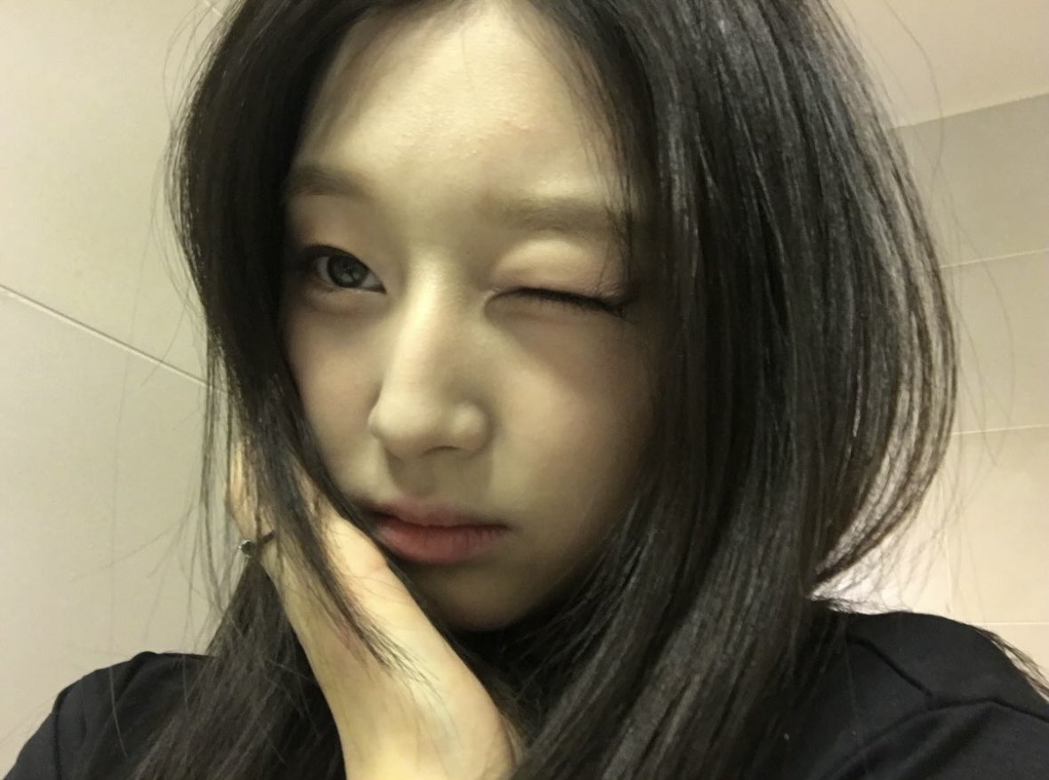 jiajoha's tweet photo. 초미녀고양이 얼굴수준 ㅈㄴ앙… https://t.co/1CqGkjxMYg
