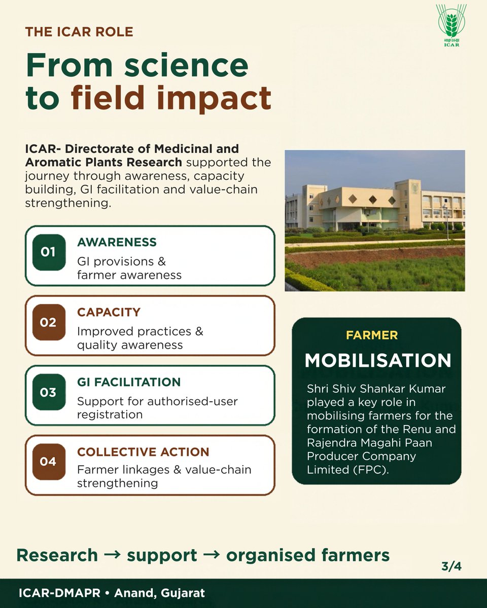 icarindia's tweet photo. GI recognition is strengthening Magahi Paan farmers in Bihar. With ICAR support, an FPC and 1,001 GI-authorised users, the value chain is gaining collective strength. #icar @ChouhanShivraj @mpbhagirathbjp @RNK_Thakur @AgriGoI @mygovindia @PIB_India https://t.co/RUYuj7LhOO