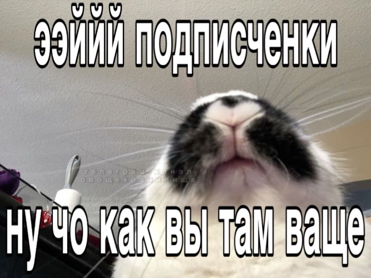 exisleyy's tweet photo. целый день нечего делать, даже лениться лень… https://t.co/B9BRwhcbxB