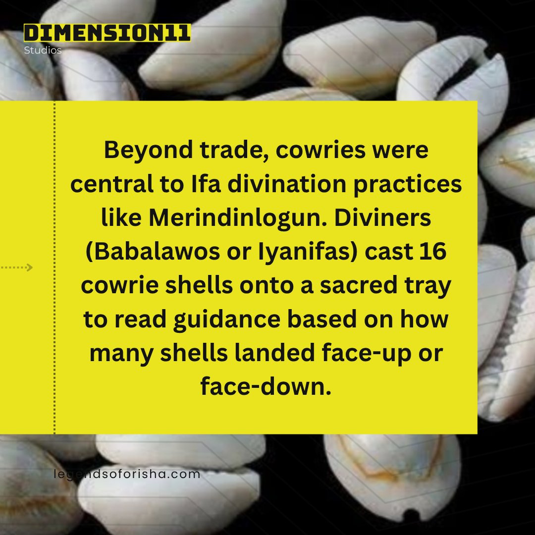 Dimension11S's tweet photo. Cowrie shells (Owo Eyo) weren't just money in the Oyo Empire.🐚

While they were used for commercial trade and taxes, they also served as sacred tools for Ifa divination.

Happy New Week, Legends!🚀

#gamedev #yorubamythology #africanhistory #history
#legendsoforisha #newweek https://t.co/95YSmjDsNo