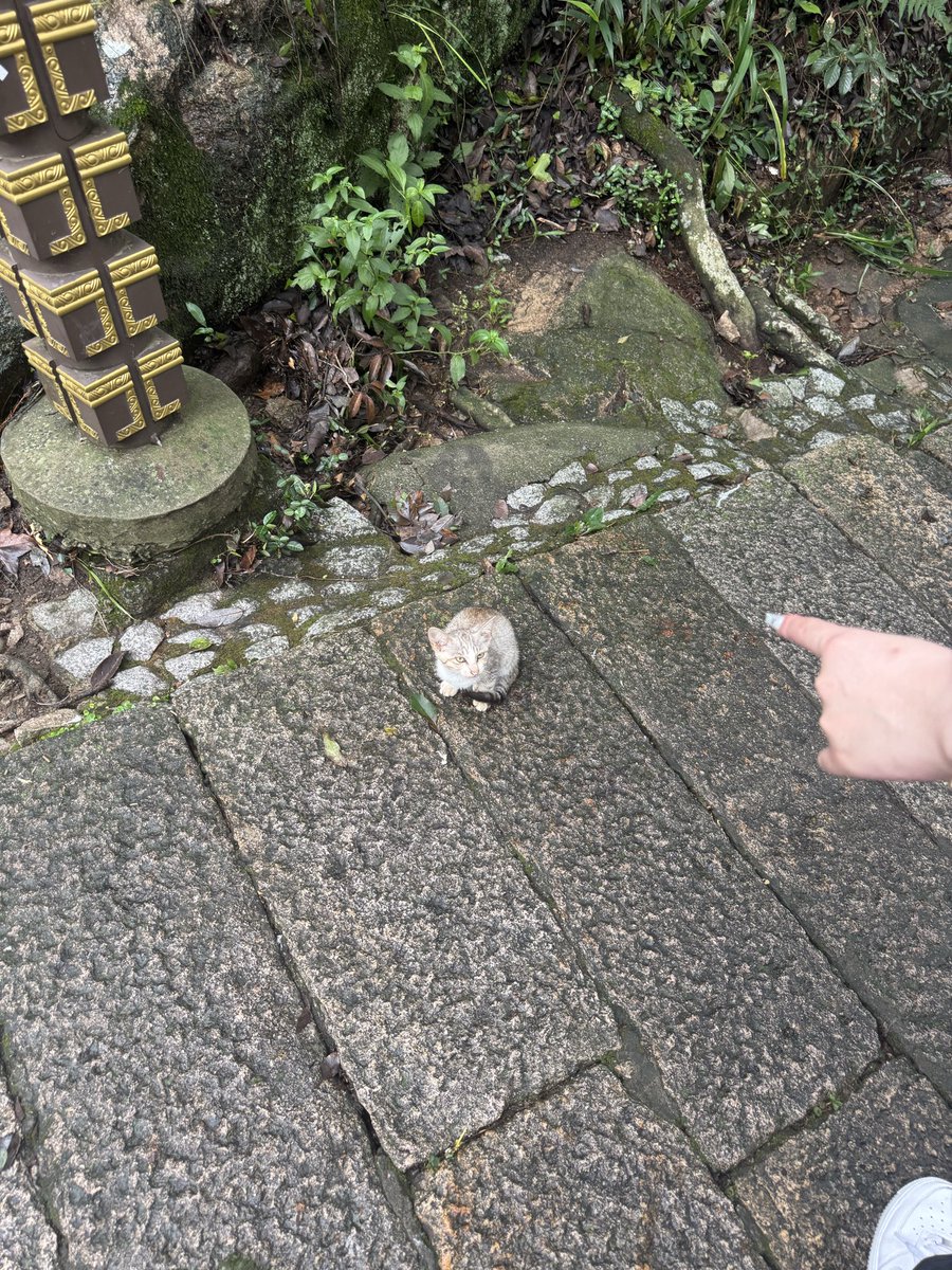 9flvnp's tweet photo. @df6uuq @mohe0305 写真間違えた https://t.co/kfqmXotjbW