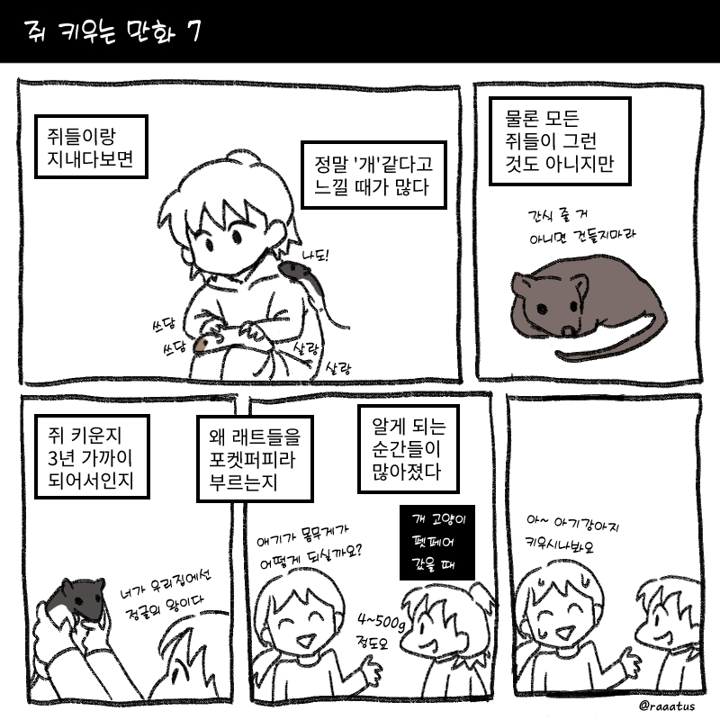 EDICH_'s tweet photo. 쥐 키우는 만화 7

#래트 #rats #쥐 https://t.co/G1wmB51c33